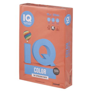 ɓ@oCIgbvJ[@A4@500@80g^m2iubNbhj yBT519z