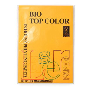 ɓ@oCIgbvJ[@A4@100@80g^m2iI[hS[hj yBT123z