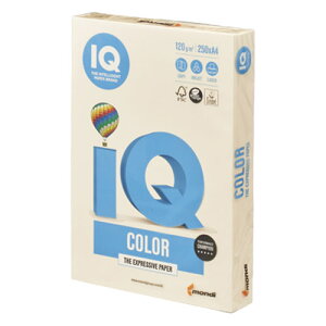 ɓ@oCIgbvJ[@A4@250@120g^m2iN[j yBT701z