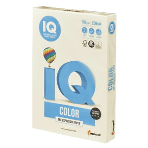 ɓ@oCIgbvJ[@A4@250@120g^m2iojj yBT730z