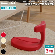★アーユル・チェアー メディカルシート 座椅子＆座面シート 2WAY 持ち運び可能 腰痛対策 姿勢矯正 骨盤…