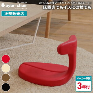 A[E`FA[ fBJV[g ֎qʃV[g 2WAY ^щ\ ɑ΍ p Ջ A[`FA[ 