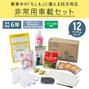 ���������I�݌Ɍ���I�L���O�W���@���p�ԍڃZ�b�g�@SYS-200