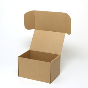 �V���W�}�@���@�i�`������BOX�@Z�|13 �y#6201310�z