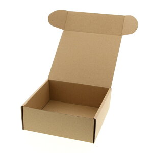 �V���W�}�@���@�i�`������BOX�@Z�|15 �y#6201510�z