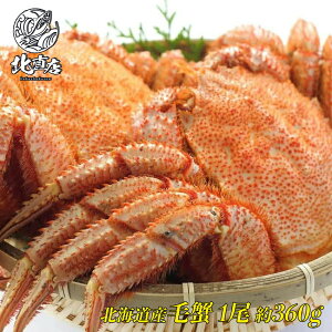 ykCYъI360gOz@YƊEňlɒ@Ԃ̂ݑ@kCуKj@ɊňI{C}ⓀI Mtg @уKj360g Y {C  Jj I  