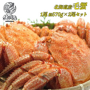 ykCYъI570gO×2zkCуKjIIɊňI{C}ⓀI@YƊEňlɒ@Ԃ̂ݑ kCуKj 570g 2Zbg Y {C  Jj 