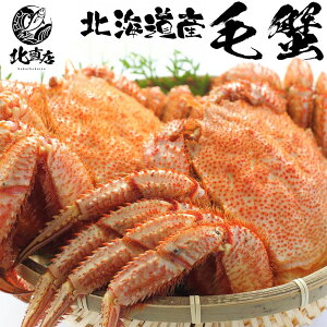 kC H Mtg kC H̖oykCYъI440gzkCуKj@ɊňI{C}ⓀI Mtg g уKj {C  Jj I  JjX kCɁ@t[h