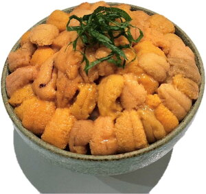 【北海道産バフンウニ100g×2】北海道産 蝦夷バフンウニ(塩水ウニ100g×2)うに ウニ ばふんうに バフンウニ 北海道  水産業界最安値に挑戦 グルメ お返し 丼 うに北海道産 うに丼