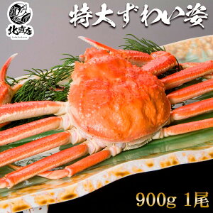 yYCp900gOzlbgʔ̍ňl@{YCKjipj900gO YCKj\ JjI@ Mtg YCKj 1ň900gO VAY kCH {C  Jj I  J