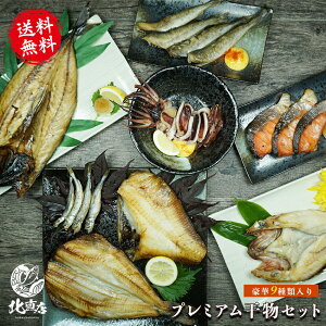 北海道 秋 ギフト 北海道 秋の味覚 【プレミアム干物セット】 キンキ開き マトウダイ ホッケ サバ開き にしん開き 紅鮭3切れ 樺太ししゃも4尾 イカ一夜干し1枚 高級 ギフト 干物 父の日 父の