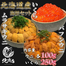 【北海道産ウニ2色×いくら250gセット】蝦夷バフンウニ100g ムラサキウニ100g　いくら250g バフンウニ 生キタムラサキウニ（塩水ウニ100g×2）うに　ウニ　北海道 無添加 丼 うに丼 食べ比べギフト 限定入荷数の為　日時指定不可　北海道高品質海産物・海鮮専門店