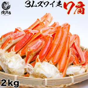 kC H Mtg kC H̖oyϔ3LYCVN2kzKYCKj3L 7 2kg YCKj@킢 I@ Mtg g YC ݂̂I@2kg 35{ VAY {C