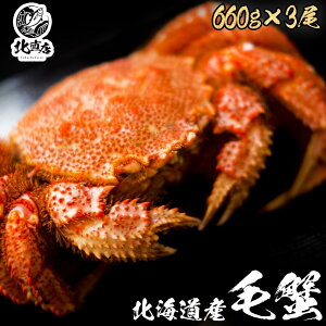 kC H Mtg kC H̖o ykCYъI650gO×3zōŇI{C}ⓀIɏуKjI уKj 650gO 3Zbg Y kC {C  Jj I  Jj