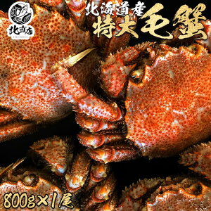 yő5,000~OFFzykCYъI800gzōŇI{C}ⓀIɏуKjI@YƊEňlɒ@ Mtg  уKj 1ň800g Y kC  Jj I  