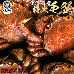 ykCYъI800gO×3z@YƊEňlɒ@Ԃ̂ݑ ōŇI{C}ⓀIɏуKjI  уKj 800g 3Zbg Y kC  Jj I 