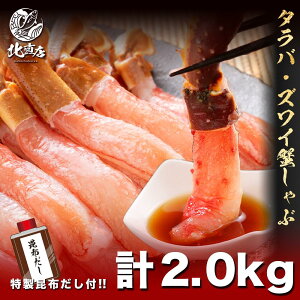 Ε ~Mtg NMtg N CNy2IԂԃZbg 2Lz kCYΊI|[V 킢I|[V kCYzo Ԃ ΊI 킢I  Jj 