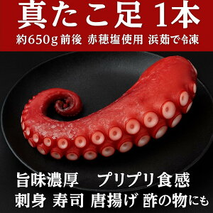 kCPY ^ 1{ 650gO ԕ䉖gp l䥂 Ⓚ |Z vvH hg i g |̕ɂ