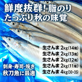 お歳暮 冬ギフト 御歳暮【生さんま2kg】秋刀魚 サンマ 北海道産 北海道 ご当地 グルメ 人気 プレゼント お土産 ギフト お土産 自宅用 お中元 御中元 贈り物 父の日 母の日 北海道海鮮 高品質 海鮮専門店