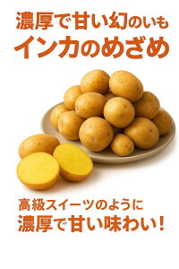 ykCYzZŊÂ̂ႪuCĴ߂߁vyY p lC v[g yY Mtg  䒆 蕨