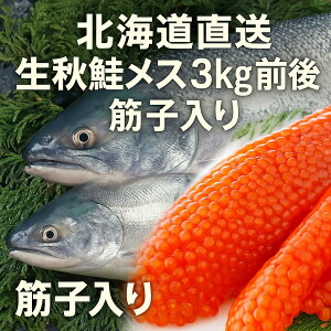 ykCzHX 3kgO ؎q { ①z NxQ kCY H X ە  NxQ 󏭂ȏ{̏H@Mp Ⓚۑ
