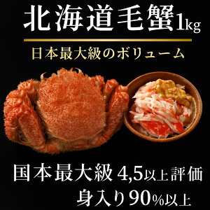 ōN kCYъI@YōōNX̑傫@ъI@}Ⓚ@@уKj@1ň1kgO@ kCY@ƊEňl@{C Ⓚ  Jj I  ъI@JjX 