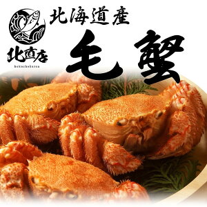 ykCYъI360gO×3z@YƊEňlɒ@Ԃ̂ݑ@kCуKj@ɊňI{C}ⓀI Mtg @уKj360g 3Zbg Y {C  Jj