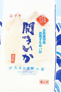 kCY 銱 2 ×3pbN^×5pbNmEldグETCYE|Ïkn  蕨 Ԃ ґi Mtg kCCN i CNX