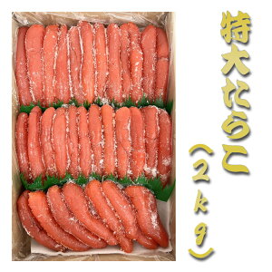 kC H Mtg kC H̖oy傽炱2kgz 2L ^R kCH т̂ Ђ 蕨 Mtg kCCN i CNX