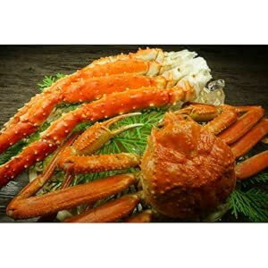 Ε ~Mtg NMtg N CNCN 2IDiYCp1kg @^oVN1Lj@Jj  I kCH {C Ⓚ  уJj ъI ΃Jj ɖX kC 