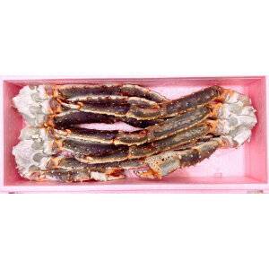 Ε ~Mtg NMtg N CNyɏ㐶^nJ3kgzɑ 2`3 ^oKj ^o ^oKj r Yn ^o ^oKj  Jj  I ^oKj  ^