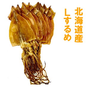 Ε ~Mtg NMtg N CNyY@L160`65gO@10ZbgzkC  CJ   ȒP@蕨 Ԃ ґi Mtg@ 蕨 kCCN i 