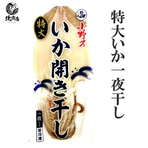 kC H Mtg kC H̖oy傢銱1×5pbNz  CJ 銱  蕨 Ԃ ґi @Mtg @ kCCN i CNX