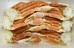 yYCVN2kOzƊEňl@L@YC 2kO YCKj 2kO Jj Hו {C킢ɋr {C Jj Jjr I  󂠂 {C  Jj I 