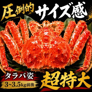 たらばがに 3kg の人気商品一覧・価格比較 - 価格 com