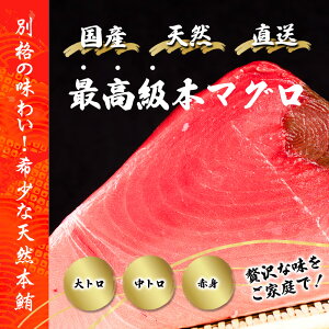 y{}OiN}Oj󂠂zVREYEkCY C̃_C hgp gEgEԐg ґO