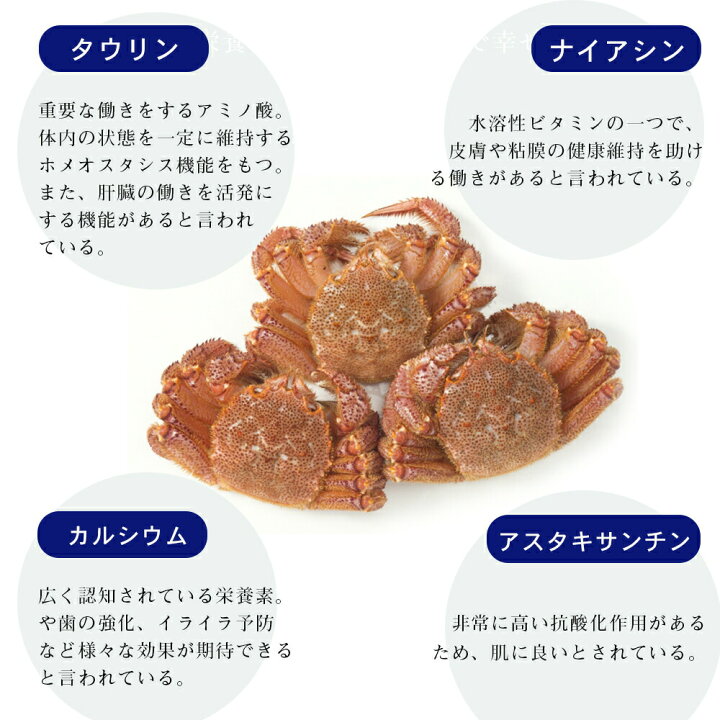 品質が お中元 夏ギフト業界最安値 本ズワイガニ 姿 約1000g 3尾 プレミアム級ズワイガニを堪能 カニ ギフト 特大 ズワイガニ 圧巻の3000g ロシア産 北海道加工 ボイル かに 蟹 カニ味噌 北海道かに Fucoa Cl