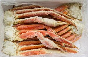 kC H Mtg kC H̖oyLYCVN2kO 5zL YC 2kgO YCKj Jj {C킢ɋr {C Jj Jjr I  󂠂 {C  Jj I 