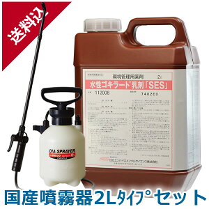 y SLu쏜 SL[g܁uSESv 2L Y2L^CvZbg t  ƖpE nG  m~ gRW~ CG_j HX ~[ v