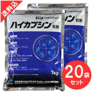 XJc쏜 nCJvV1kg×20/P[X sQpE ΍ XJc A _SV WV GgtFvbNX