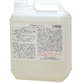 あす楽 白蟻予防 プロボレート 4L 白アリ ホウ素系表面処理剤 木材防腐剤 殺虫剤 シロアリ 木材害虫 防腐防虫