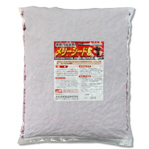 lY~쏜 [V[hS 1kg×10/P[X ƖpEl q}̎ 哤 ŉa hulY~ ƃlY~ ncJlY~ N} ۍ ŃGT q H