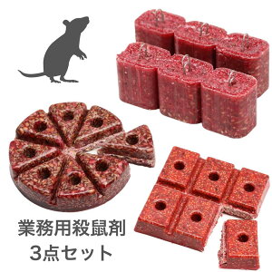 lR|XΉ lY~쏜 Hה3_Zbg [ubN{lYRS{`[AubN El lY~΍