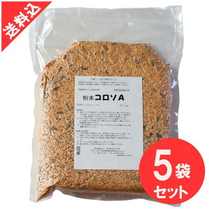 lY~쏜 R\A 1kg×5܃Zbg ƖpEl ^pbNŒۑ\ ̂܂ܒu ŉa hulY~ ƃlY~ ncJlY~ N} ^jTP ŃGT q H