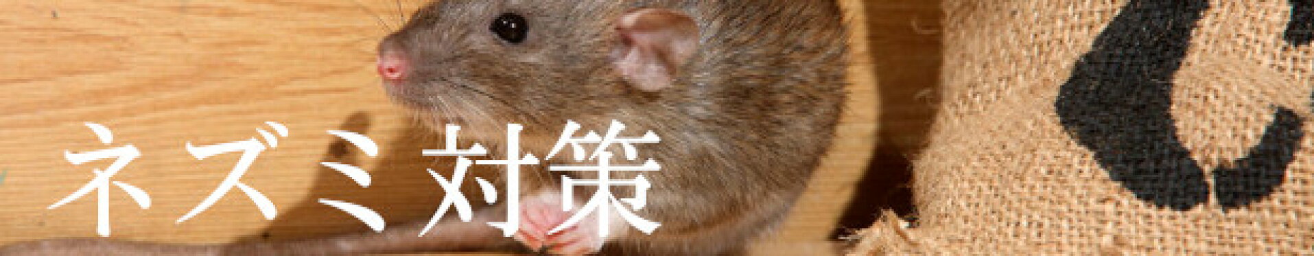 ネズミ対策