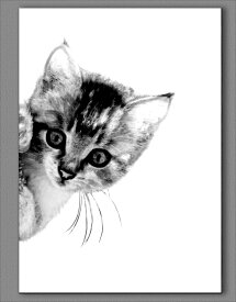 【送料無料】覗いてる猫　子猫　猫　猫好き　動物　アートパネル　A2　おしゃれ　かわいい　北欧　シンプル　モノクロ　絵　雑貨　アートプリント　ポスター　デザイン　インテリア　アート　Kitten Cat