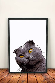 【送料無料】猫　ネコ　ねこ　動物　アートポスター　A2　A3　おしゃれ　かっこいい　かわいい　北欧　シンプル　スコティッシュフォールド　絵　雑貨　アートプリント　ポスター　デザイン　インテリア　アート　Scottish Fold Cat