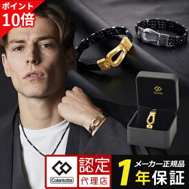 【ポイント10倍】コラントッテ THEO ループ CARO colantotte セオ カーロ 腕用 磁気 医療機器 男性用 女性用 効果 高級 ゴールド シルバー 保証 おしゃれ ギフト プレゼント 父の日 解消グッズ 血行改善