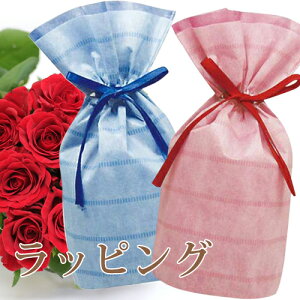 bsOi܃^Cvj u[ sN ̓ΉΉ av[g Mtg