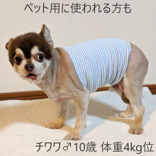 【日本製ベビー腹巻2枚組】(日本製腹巻きベビー腹巻赤ちゃん腹巻子供ベビー腹巻きはらまき2枚セット赤ちゃん腹巻き)